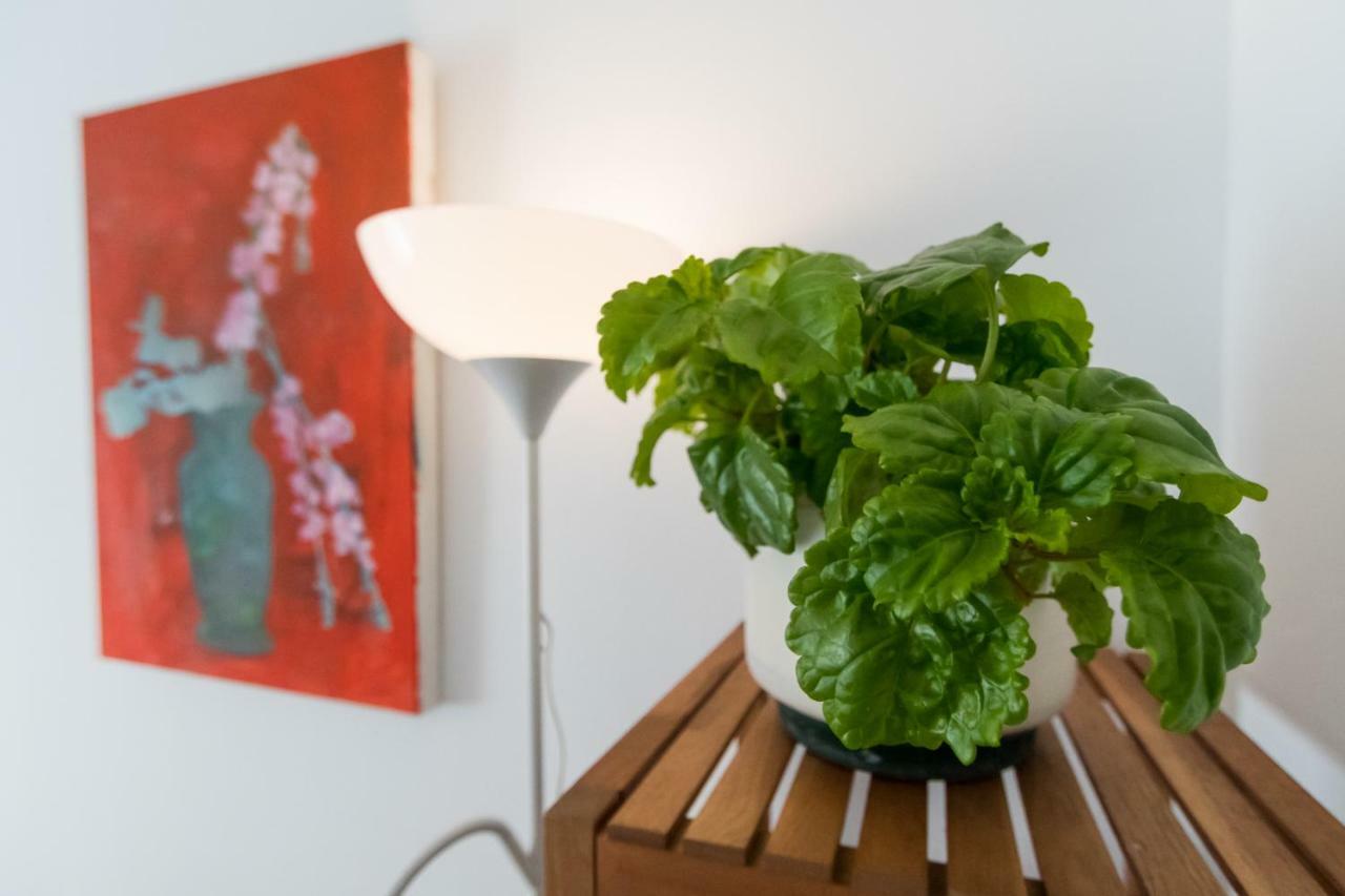 Apartamento La Galeria De San Antonio カディス エクステリア 写真
